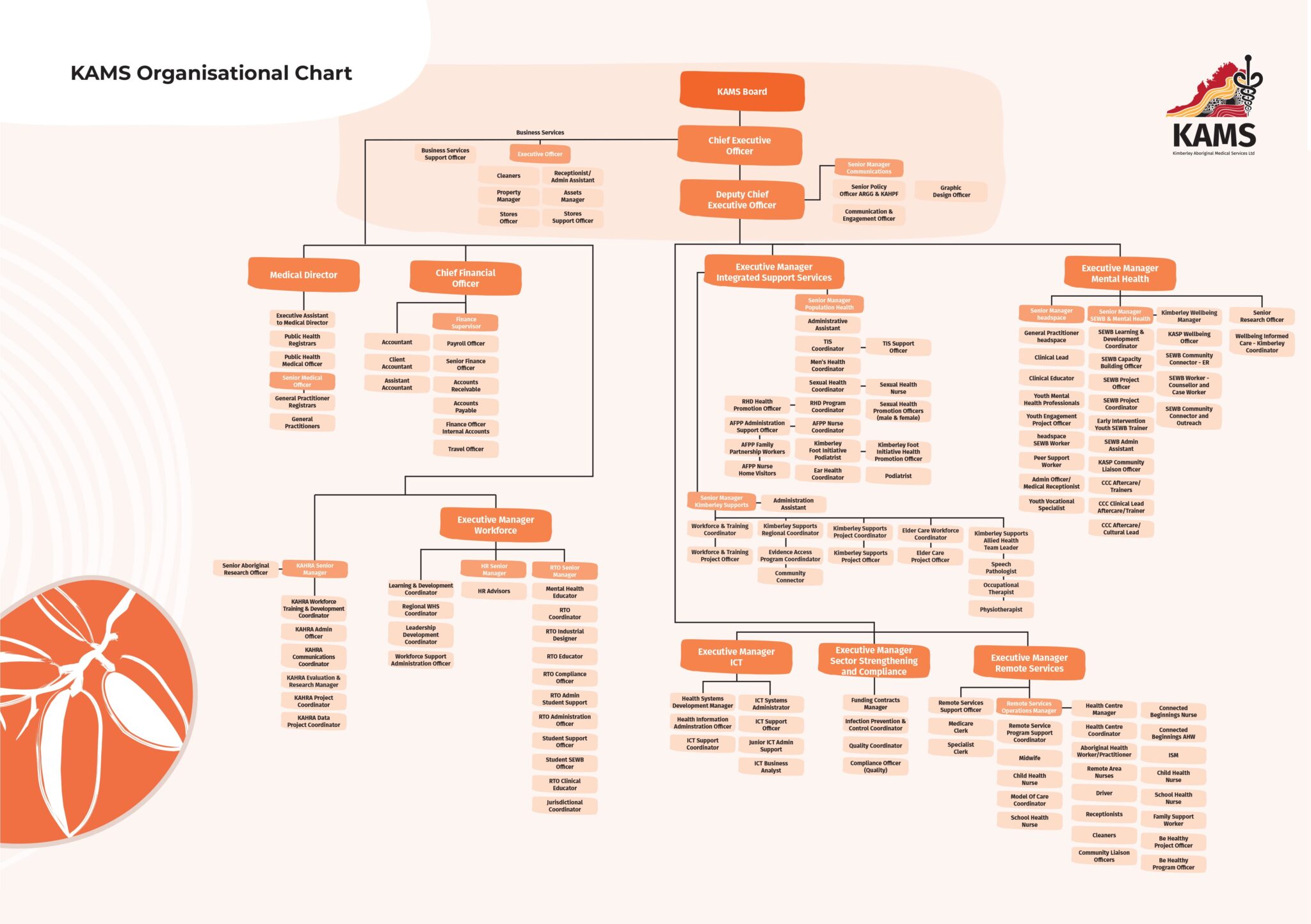 Our Organisation Structure | Kimberley Aboriginal Medical Services (KAMS)